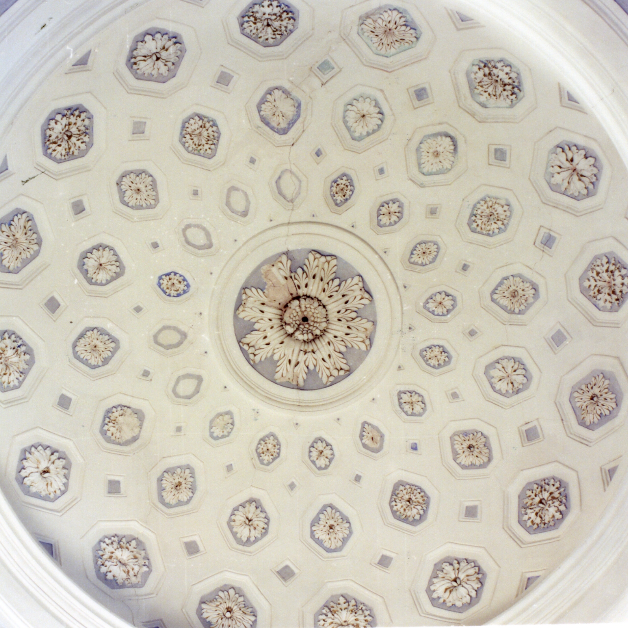 motivi decorativi floreali (decorazione plastica) - bottega campana (seconda metà sec. XIX)