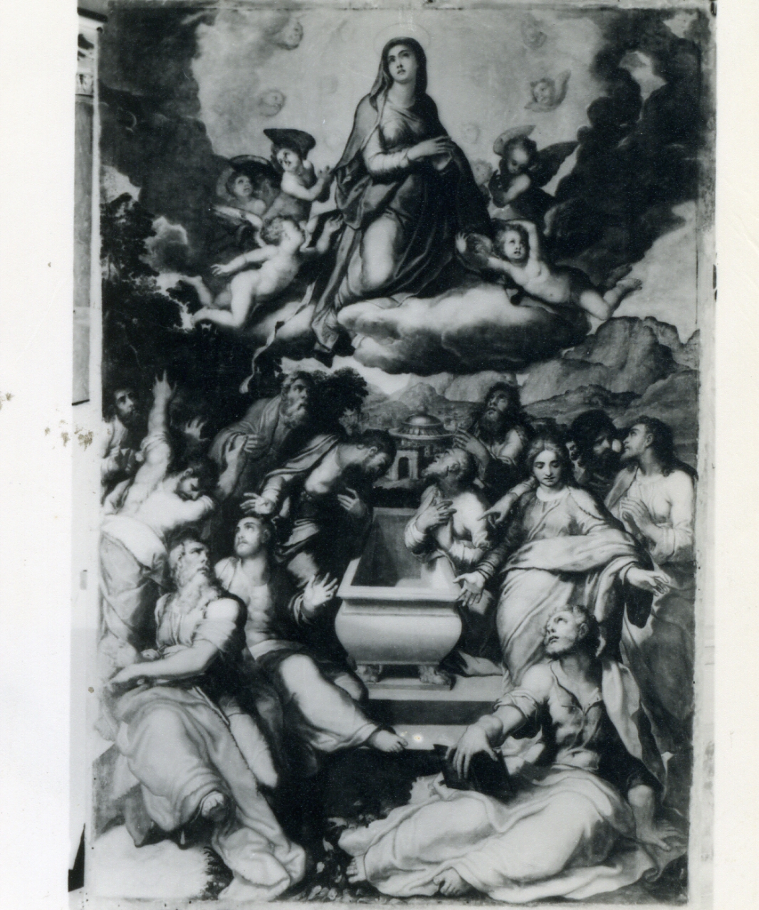 assunzione della Madonna (dipinto) di Pino Marco detto Marco da Siena (sec. XVI)