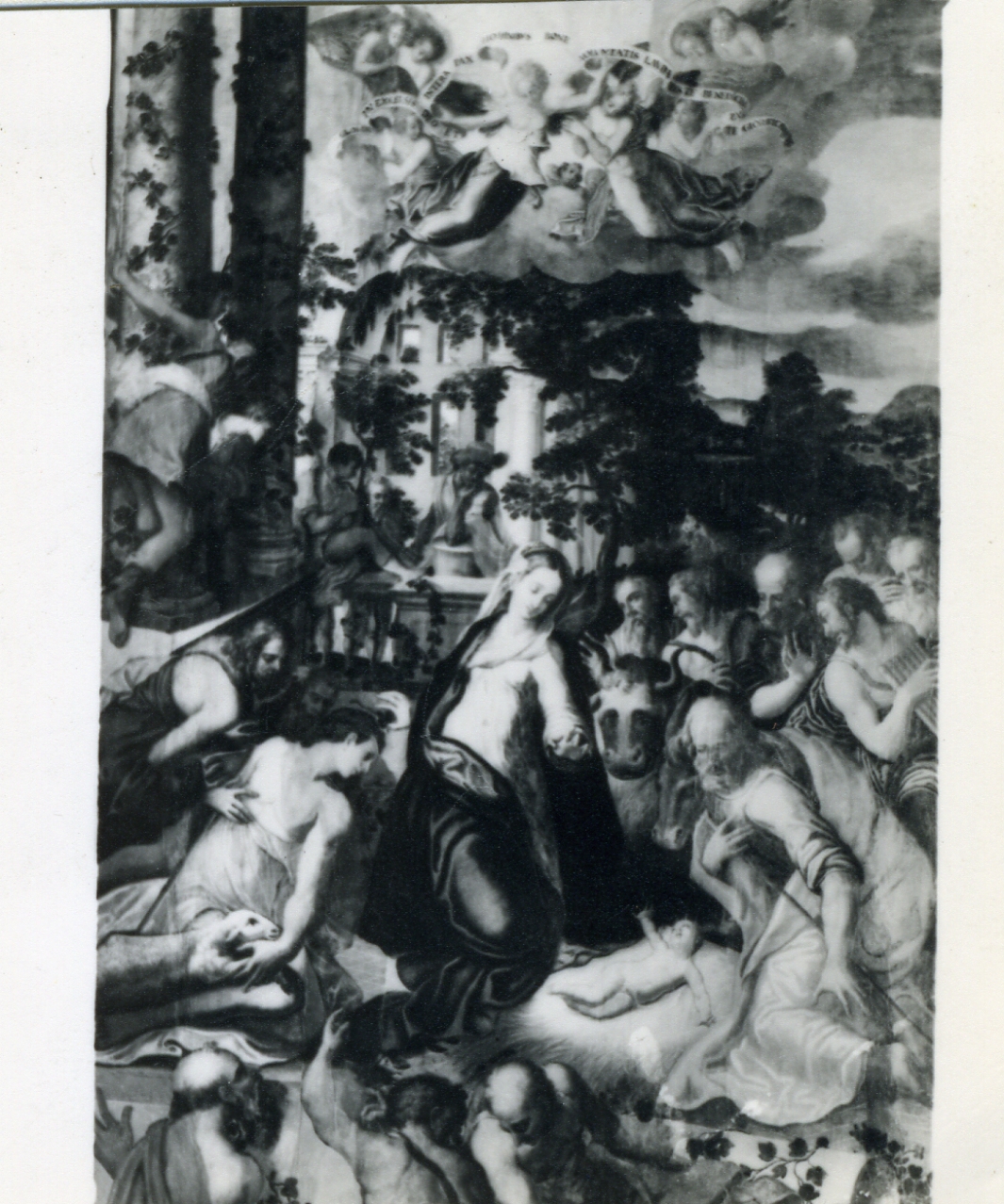 adorazione dei pastori (dipinto) di Pino Marco detto Marco da Siena (sec. XVI)