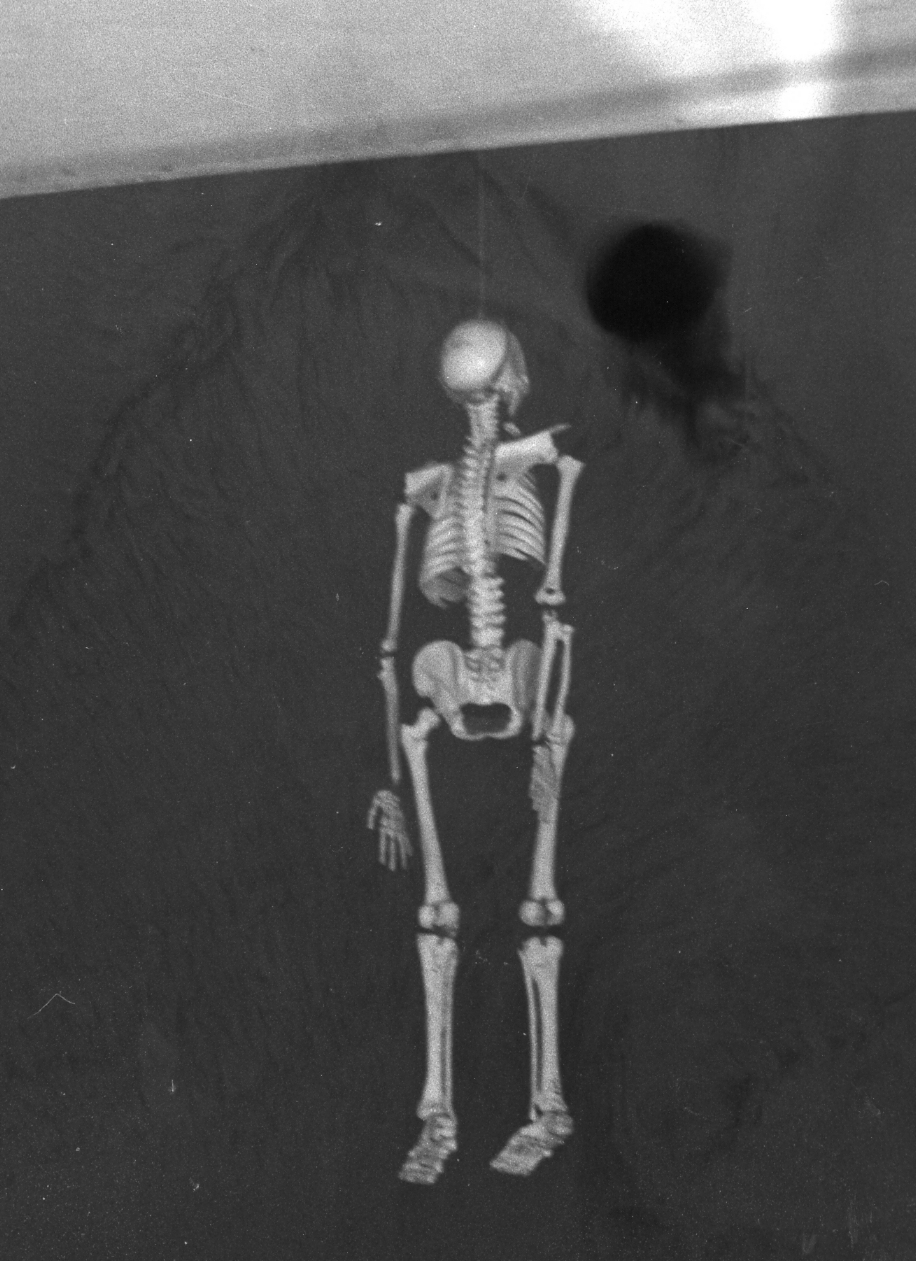 scheletro - bottega campana (sec. XVIII)