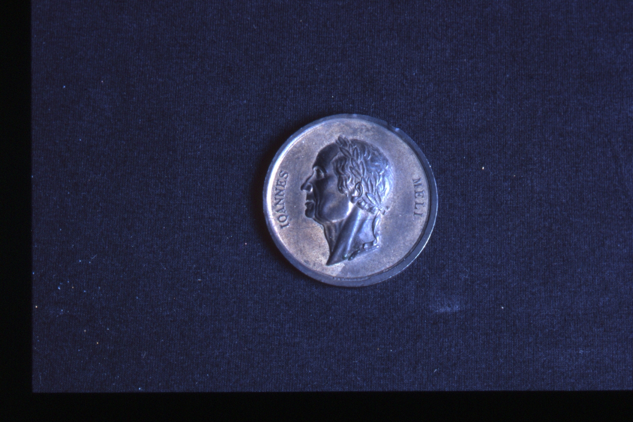 medaglia - bottega napoletana (seconda metà sec. XIX d.C)