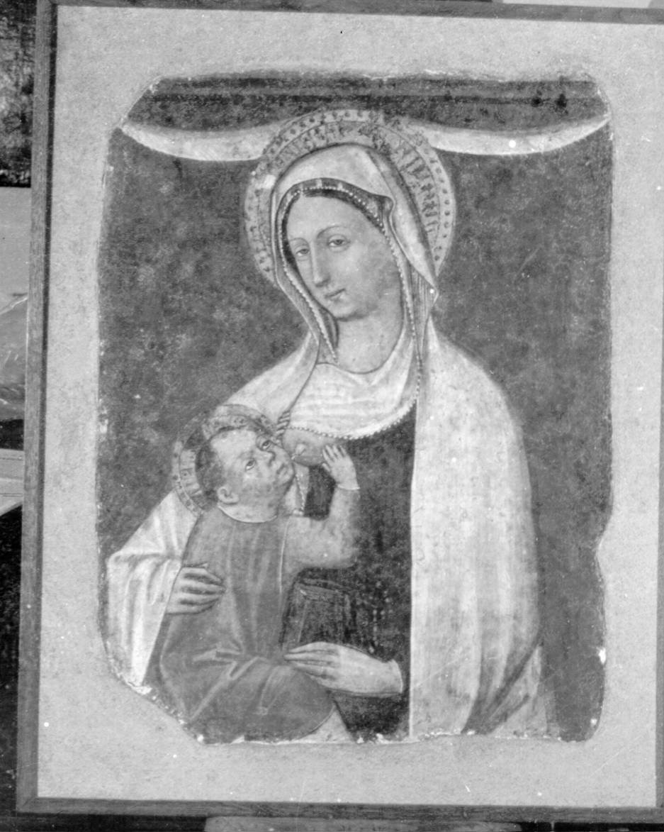 Madonna del Latte (dipinto, frammento) - ambito napoletano (metà sec. XIV)