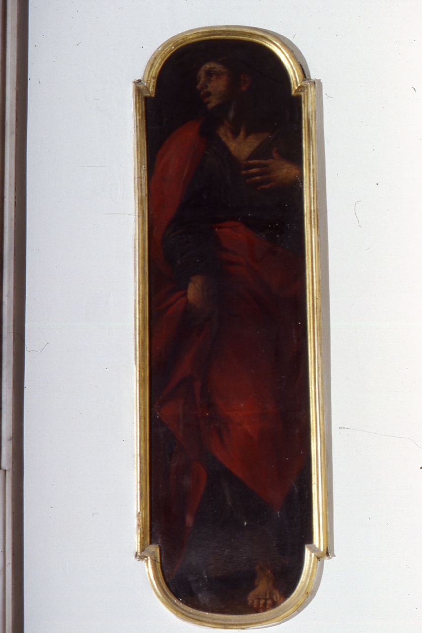 San Giovanni Battista (dipinto, elemento d'insieme) di Pinacci Giuseppe (sec. XVII)
