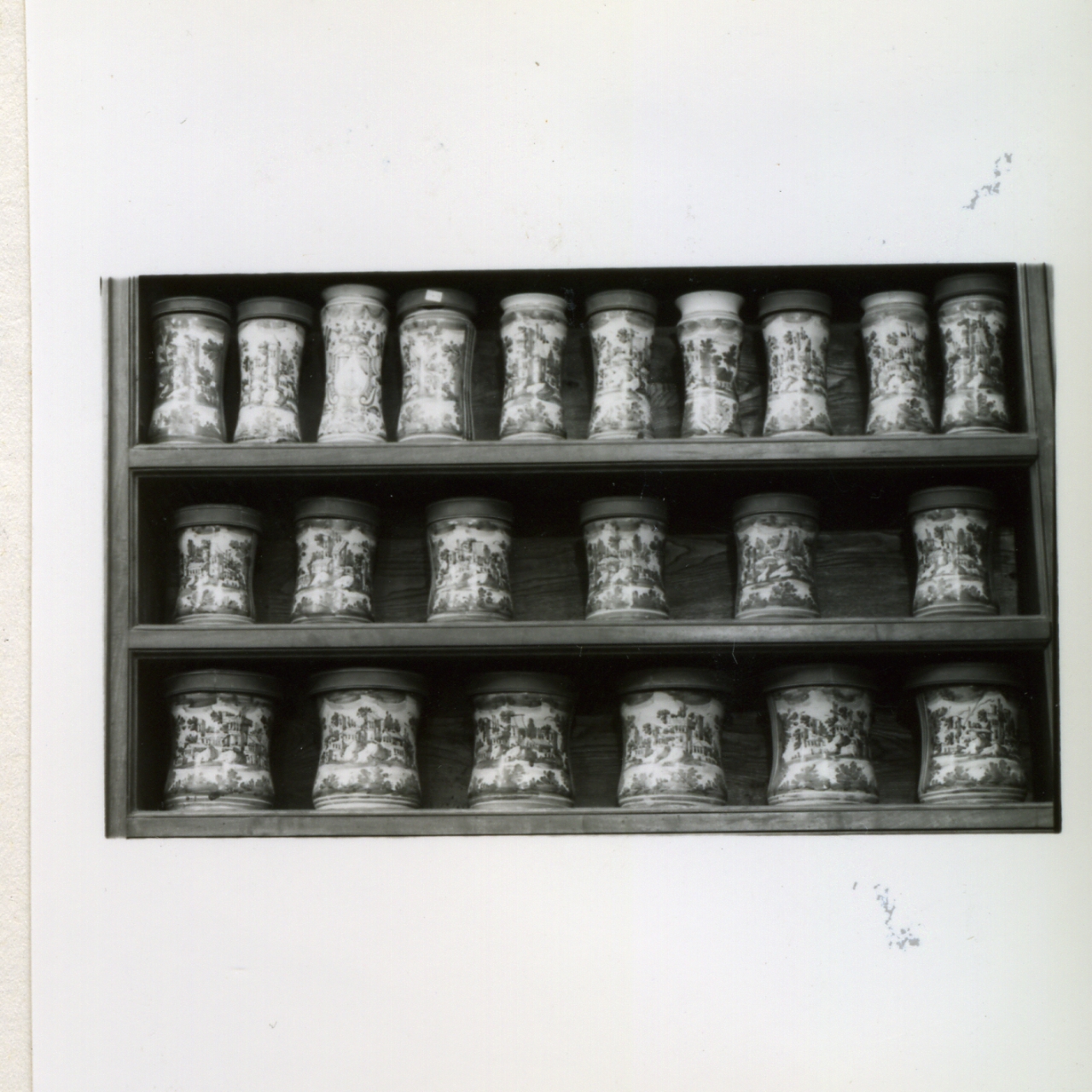 alberello, serie di Massa Donato (e aiuti) (sec. XVIII)