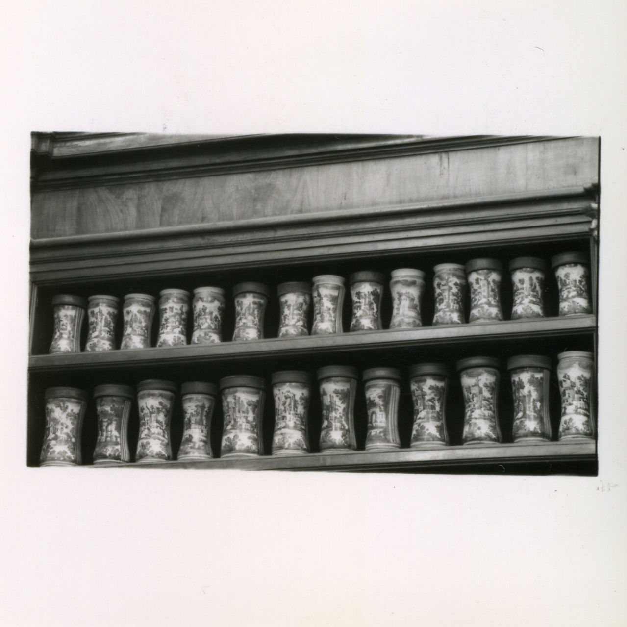 alberello, serie di Massa Donato (e aiuti) (sec. XVIII)