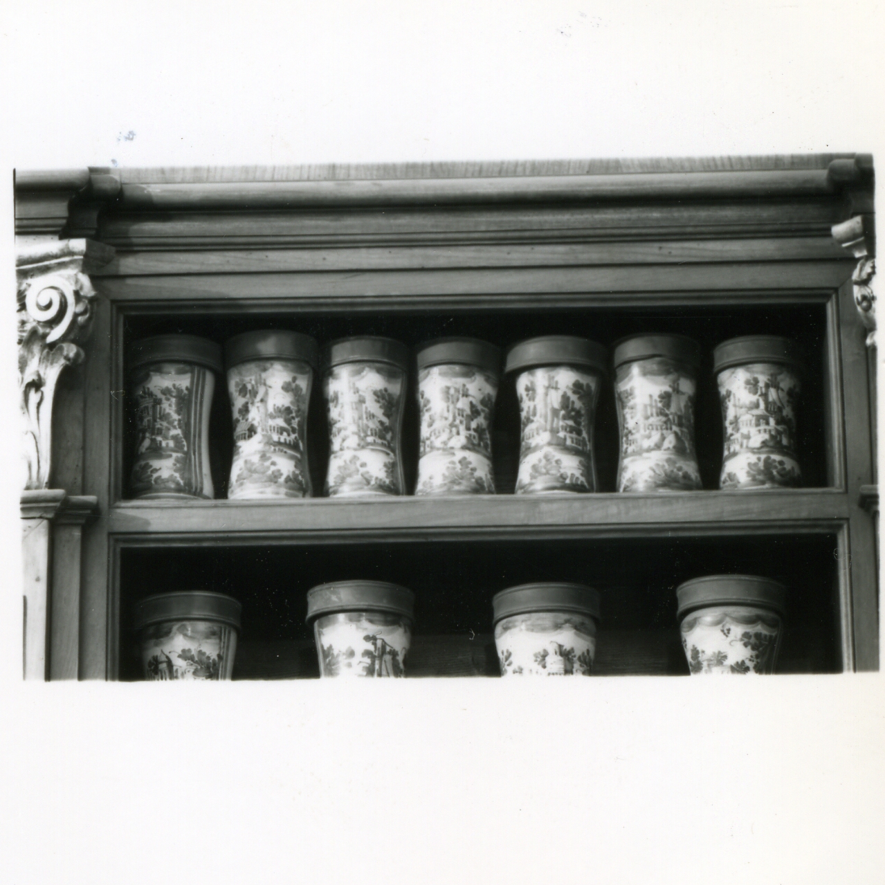 alberello, serie di Massa Donato (e aiuti) (sec. XVIII)