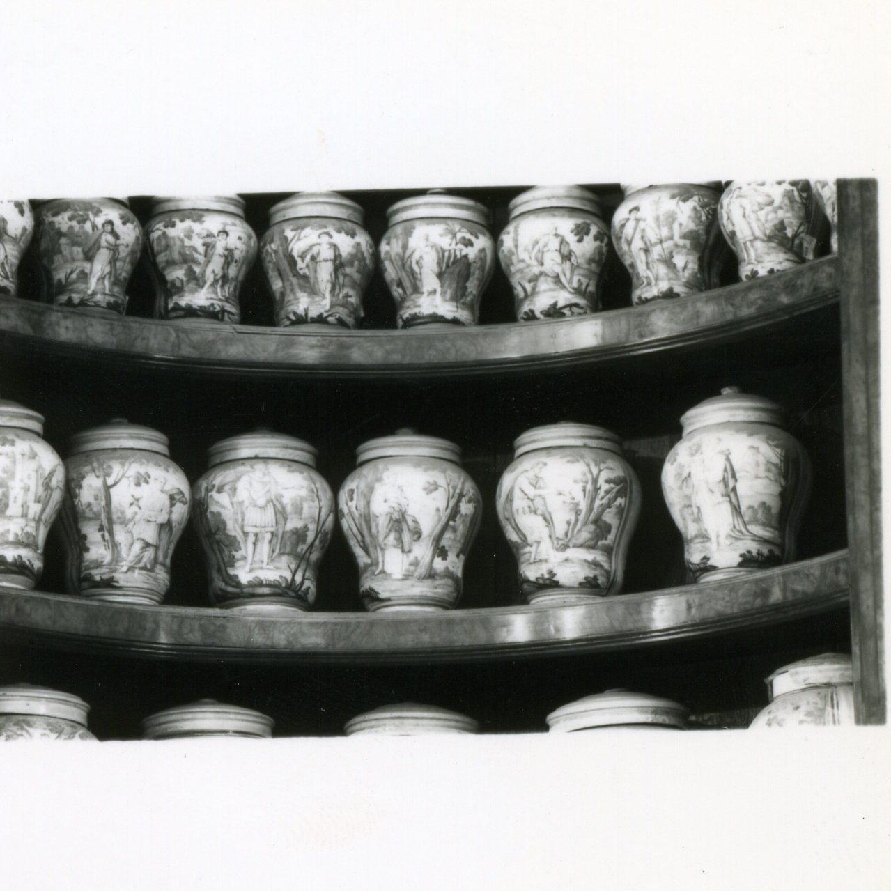 vaso da farmacia, serie di Massa Donato (e aiuti) (metà sec. XVIII)