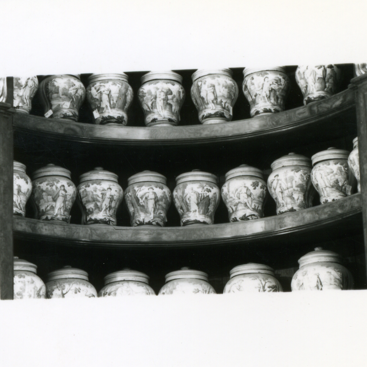 vaso da farmacia, serie di Massa Donato (e aiuti) (metà sec. XVIII)