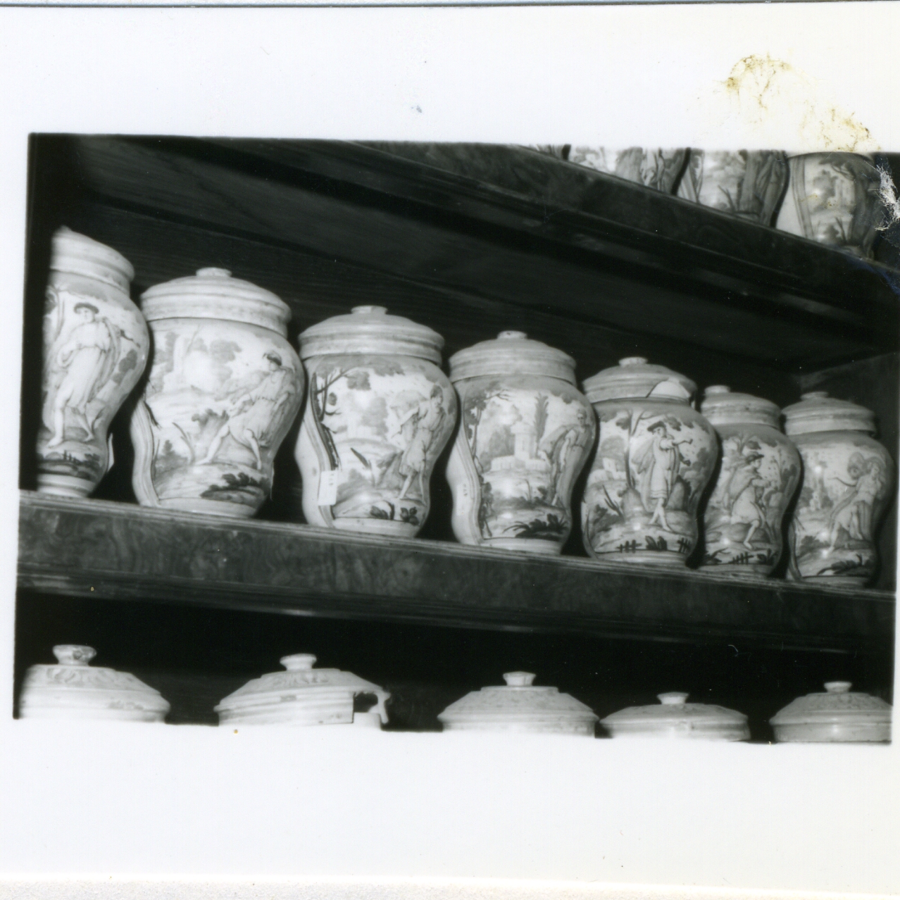 vaso da farmacia, serie di Massa Donato (e aiuti) (metà sec. XVIII)