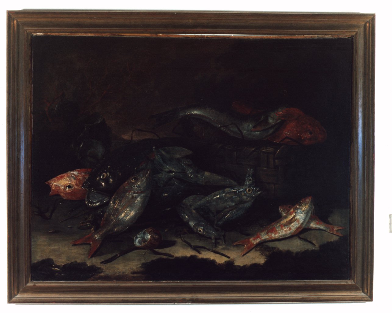 natura morta con pesci (dipinto) di Recco Giuseppe (metà sec. XVII)