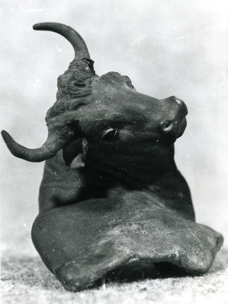 toro (statuetta di presepio, frammento) - bottega napoletana (metà sec. XIX)