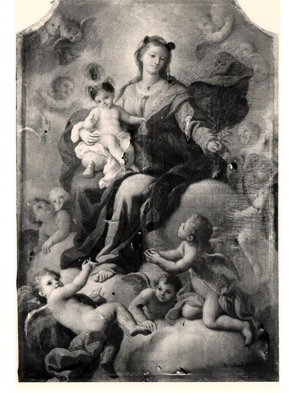 Madonna dell' ulivo, Madonna con Bambino (dipinto) di Sarnelli Antonio (sec. XVIII)