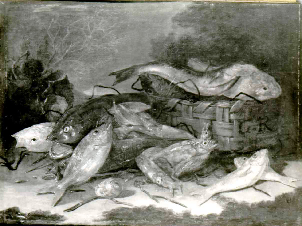 natura morta con pesci (dipinto) di Recco Giuseppe (seconda metà sec. XVII)