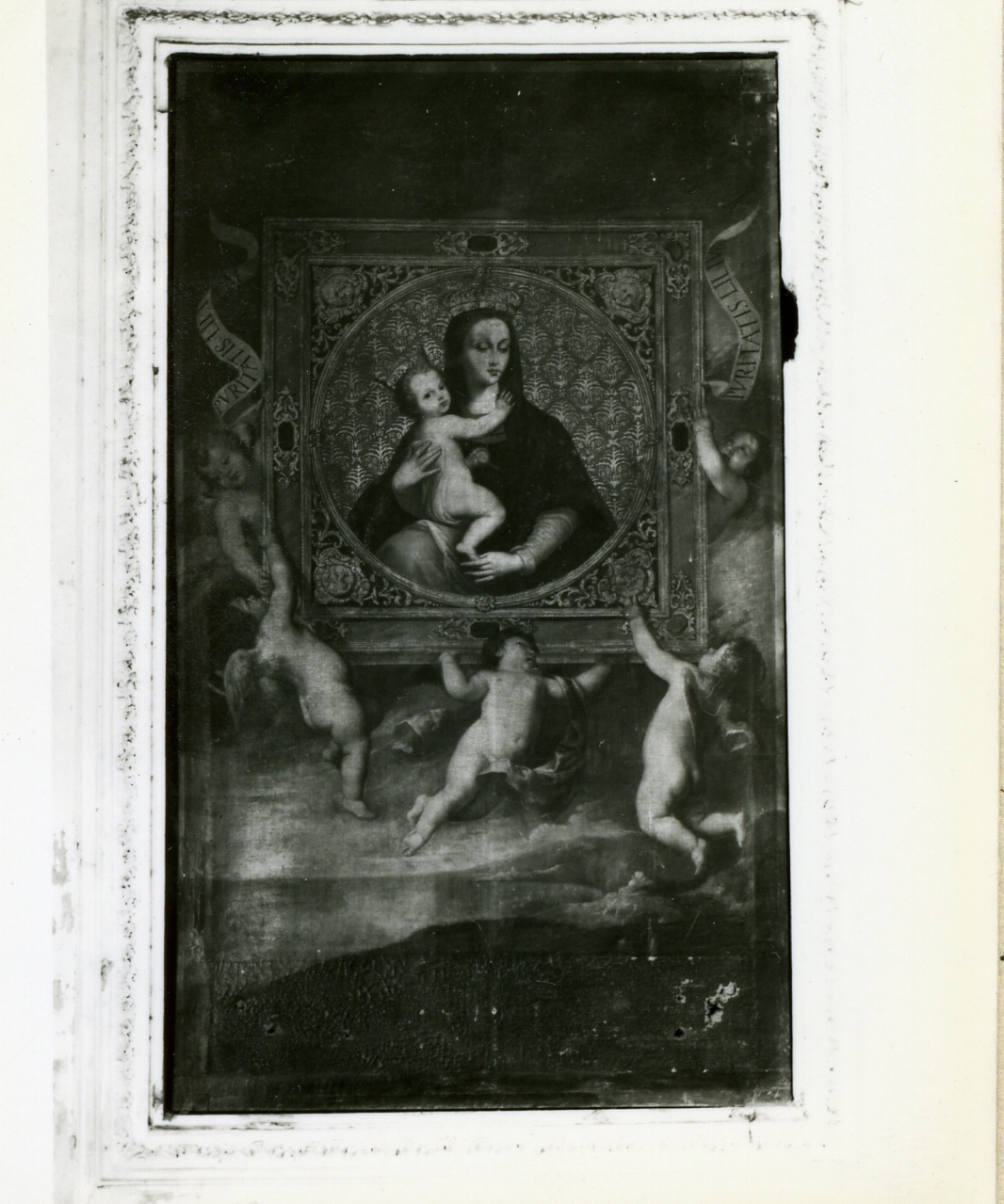 Madonna della Purità (dipinto) di De Rosa Francesco, Barra Didier (prima metà sec. XVII)