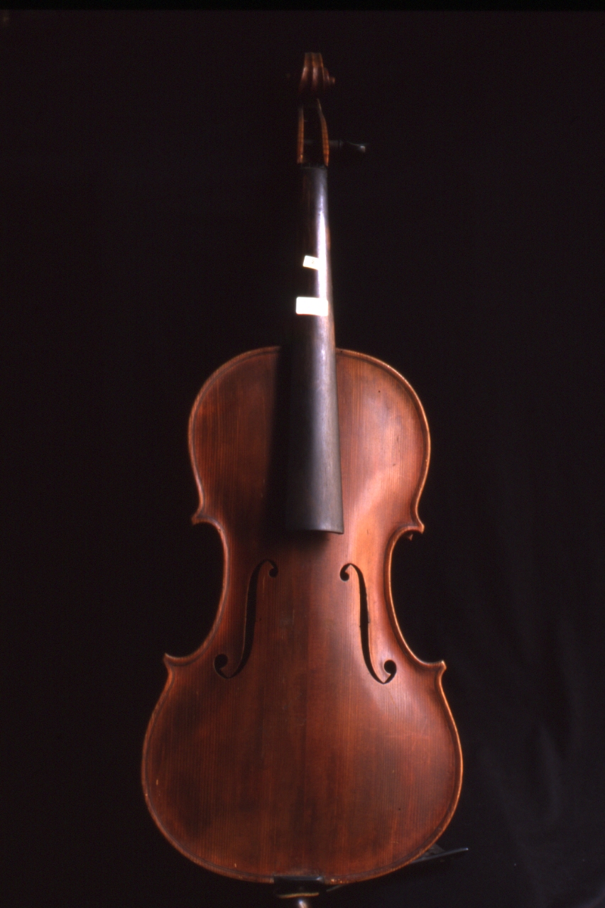 viola da gamba di Postiglione Vincenzo (sec. XIX)