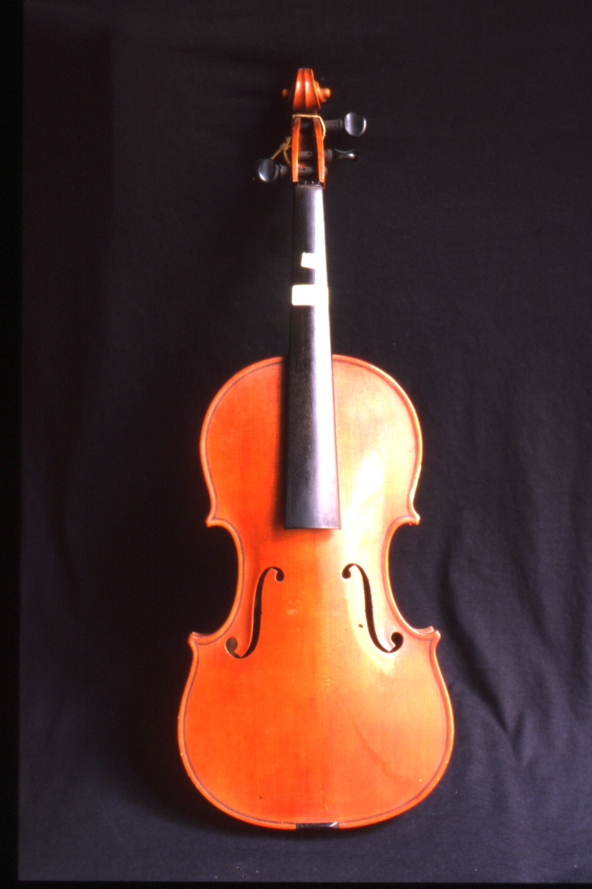 violino di Postiglione Vincenzo (sec. XIX)