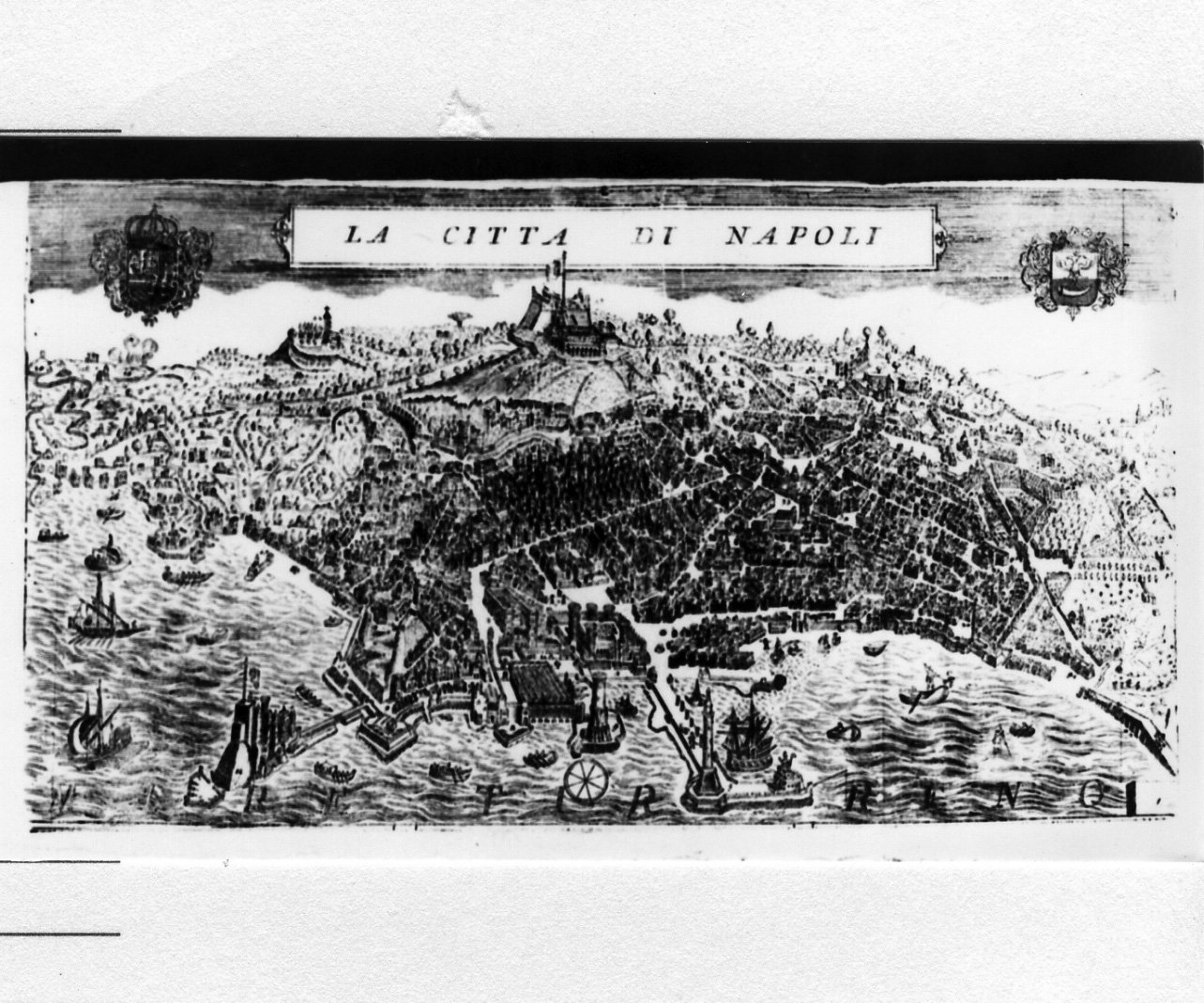 pianta della città di Napoli (stampa) di Coronelli Vincenzo Maria (sec. XVII)