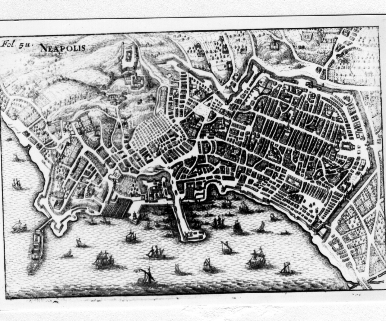 pianta della città di Napoli (stampa) - ambito europeo (sec. XVIII)