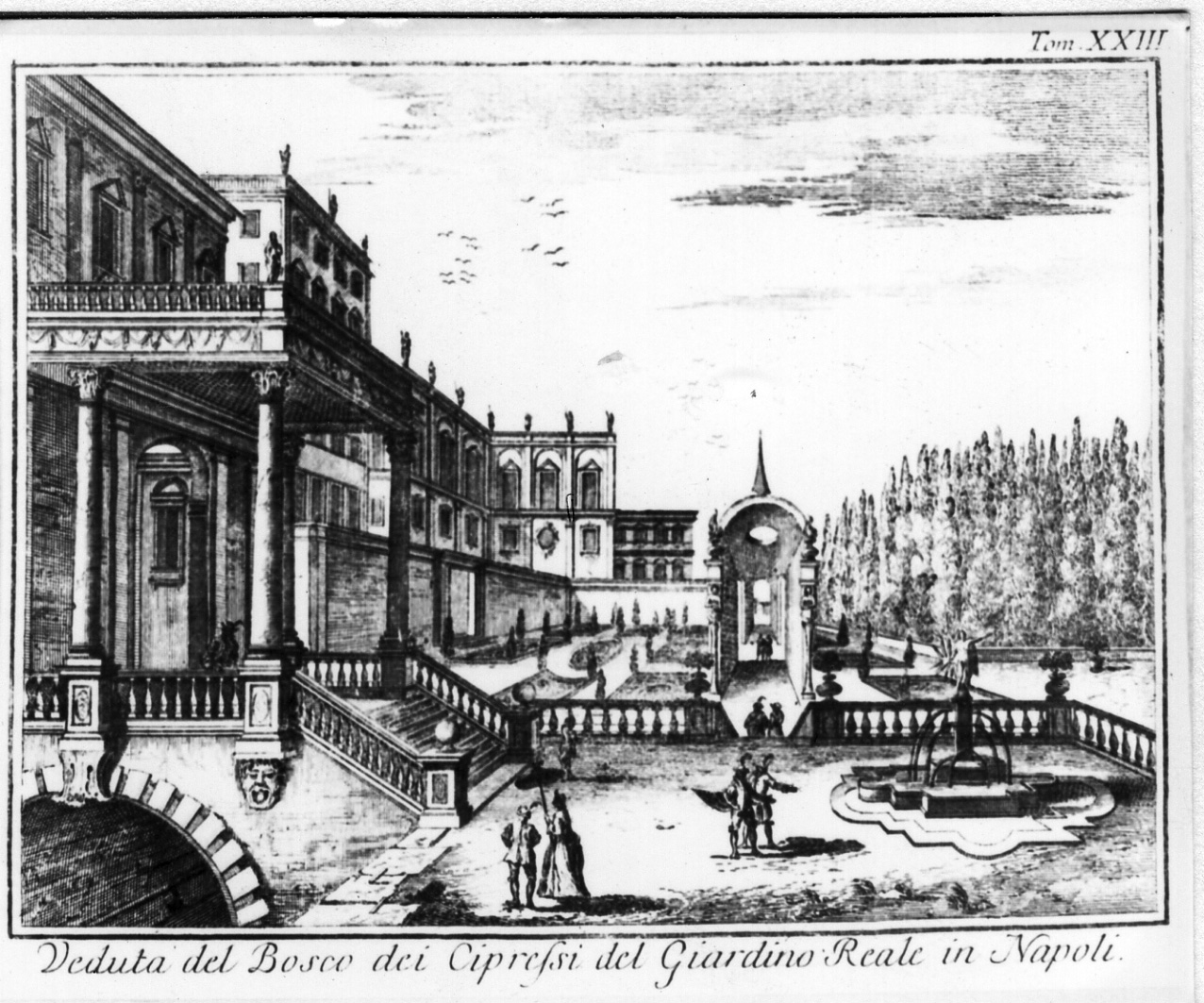 veduta del Palazzo Reale di Napoli (stampa colorata a mano) - ambito italiano (sec. XVIII)