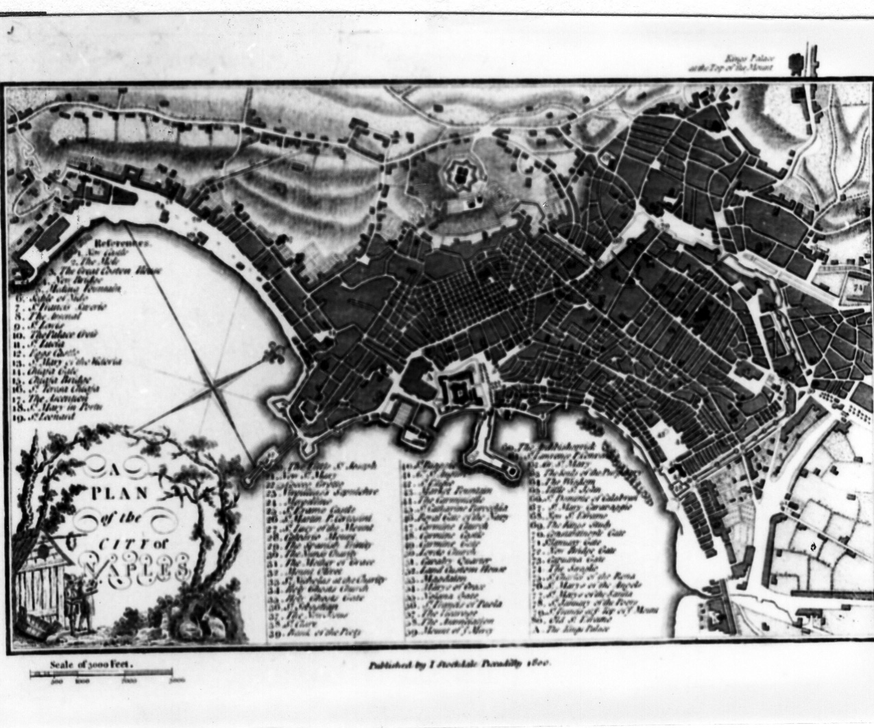 pianta della città di Napoli (stampa colorata a mano) - ambito inglese (sec. XIX)