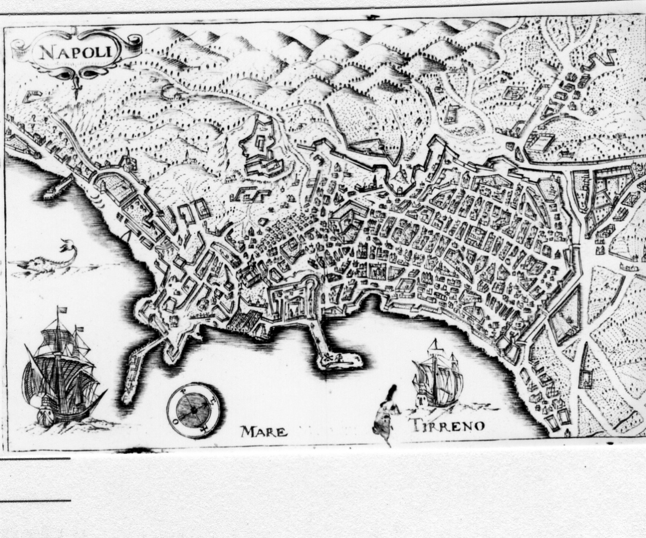 pianta della città di Napoli (stampa) - ambito italiano (sec. XIX)