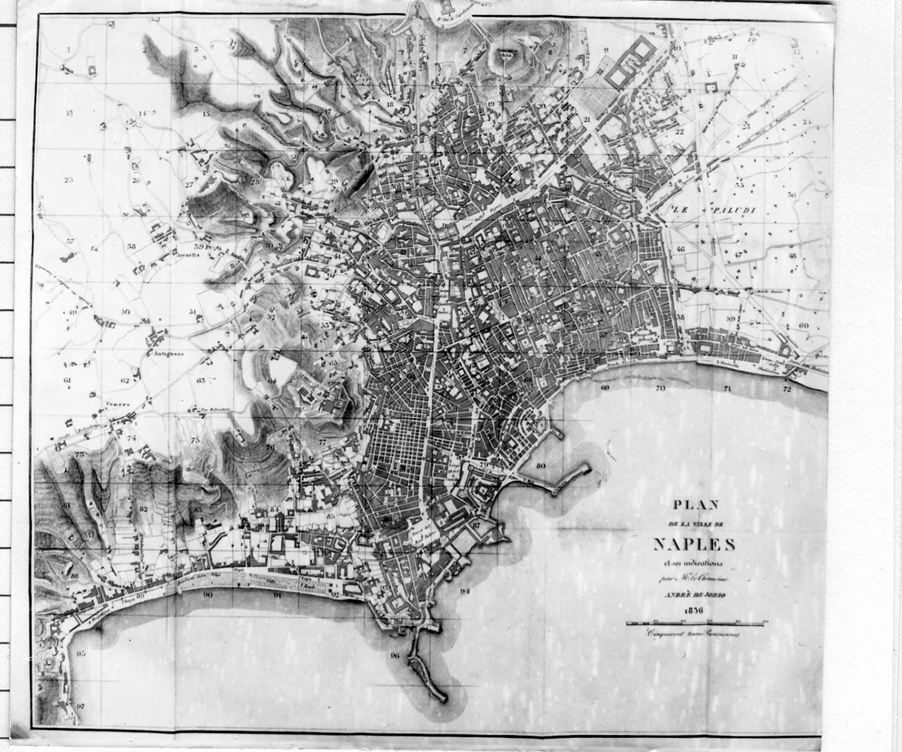 pianta della città di Napoli (stampa) di De Iorio Andrea (sec. XIX)