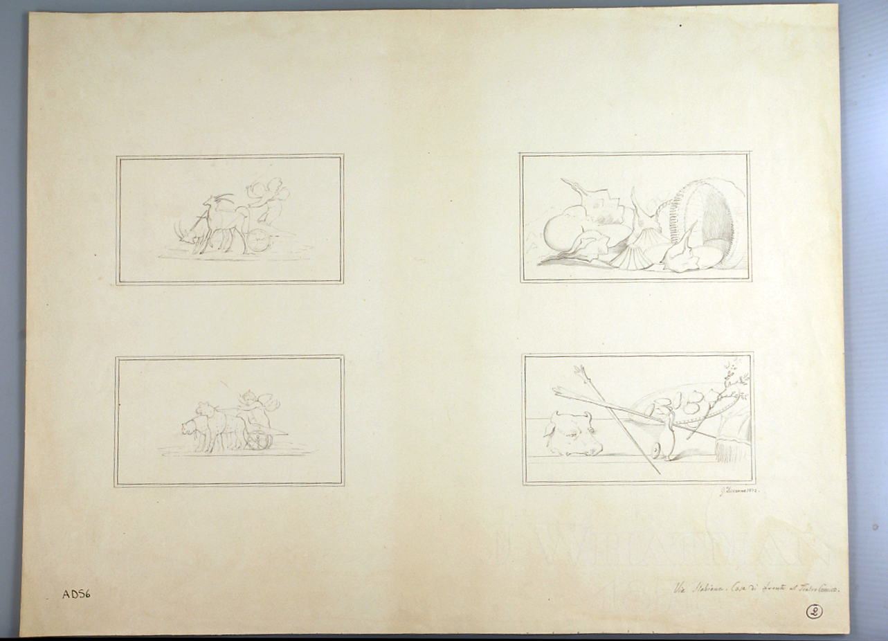 amorini e nature morte con frutta (disegno) di Discanno Geremia (terzo quarto sec. XIX)