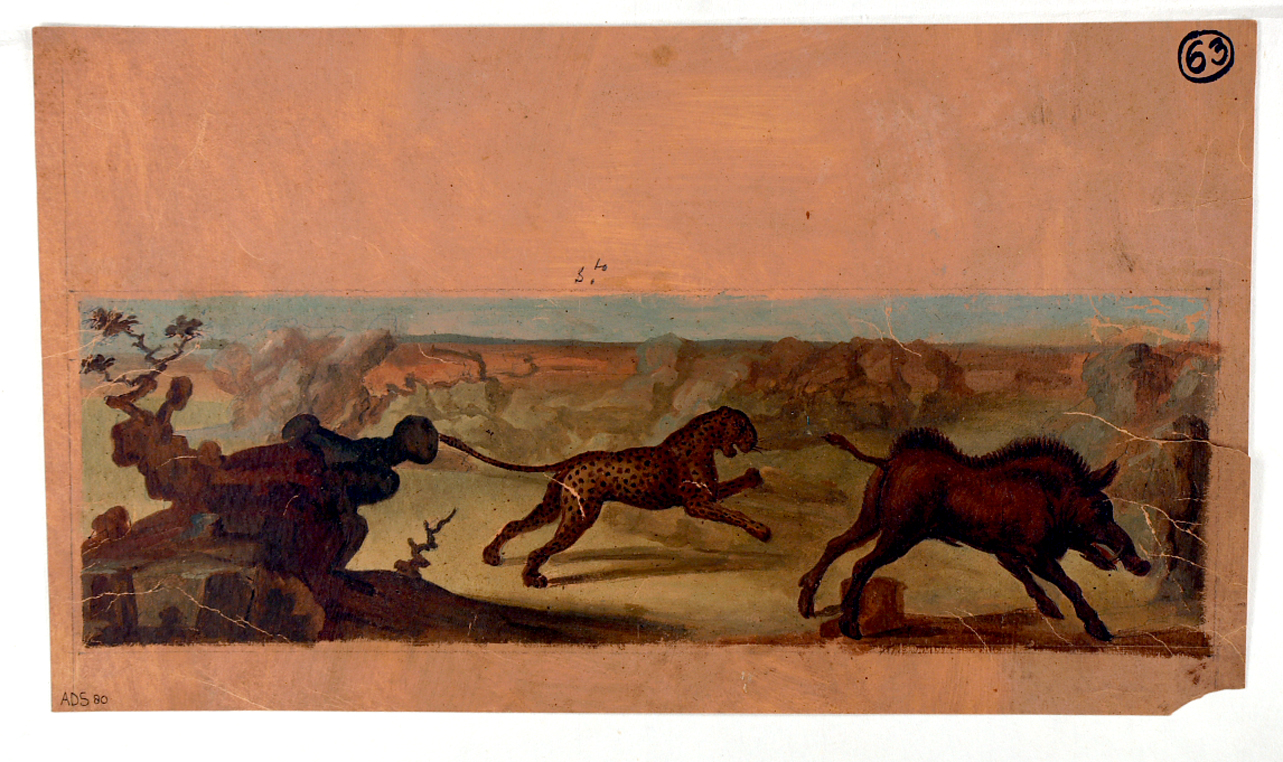 scena di caccia (disegno) di Morelli Francesco (seconda metà sec. XVIII)