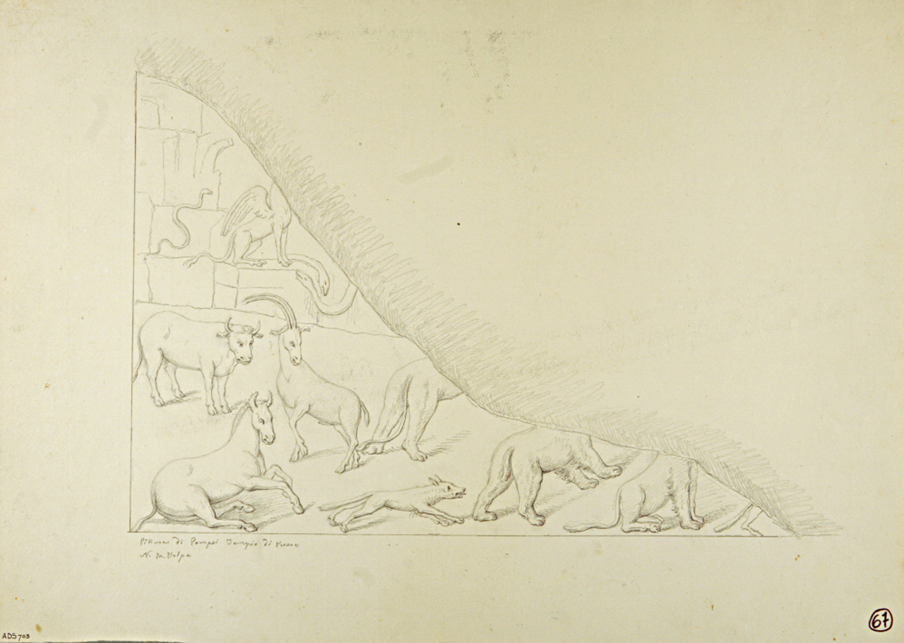 fiere (disegno) di La Volpe Nicola (terzo quarto sec. XIX)