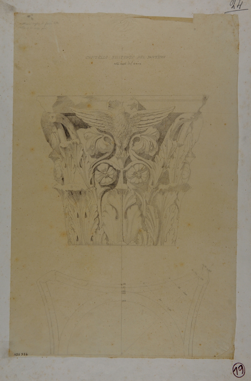 capitello composito (disegno) di Veneri Pasquale Maria (prima metà sec. XIX)