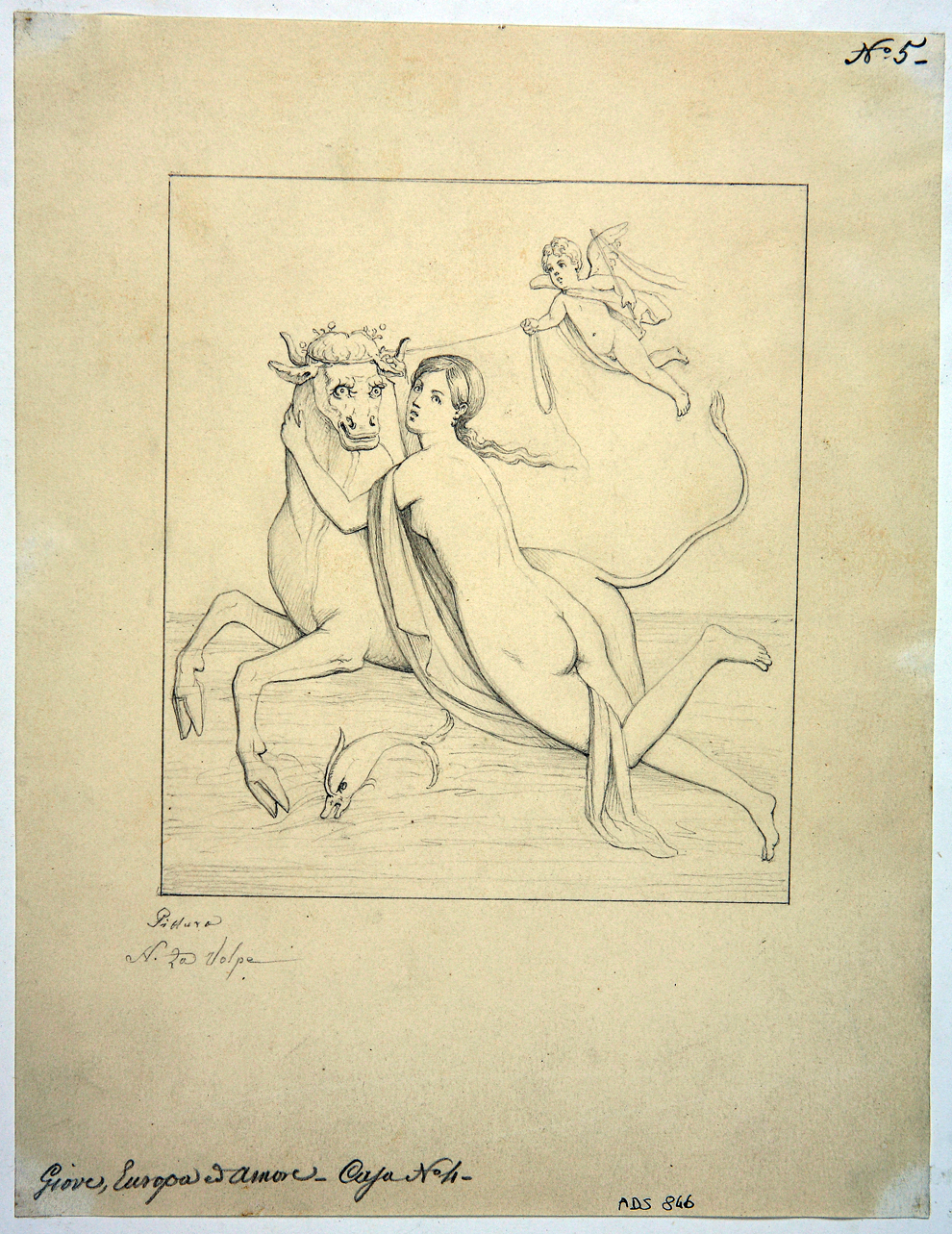 Europa su toro (disegno) di La Volpe Nicola (seconda metà sec. XIX)