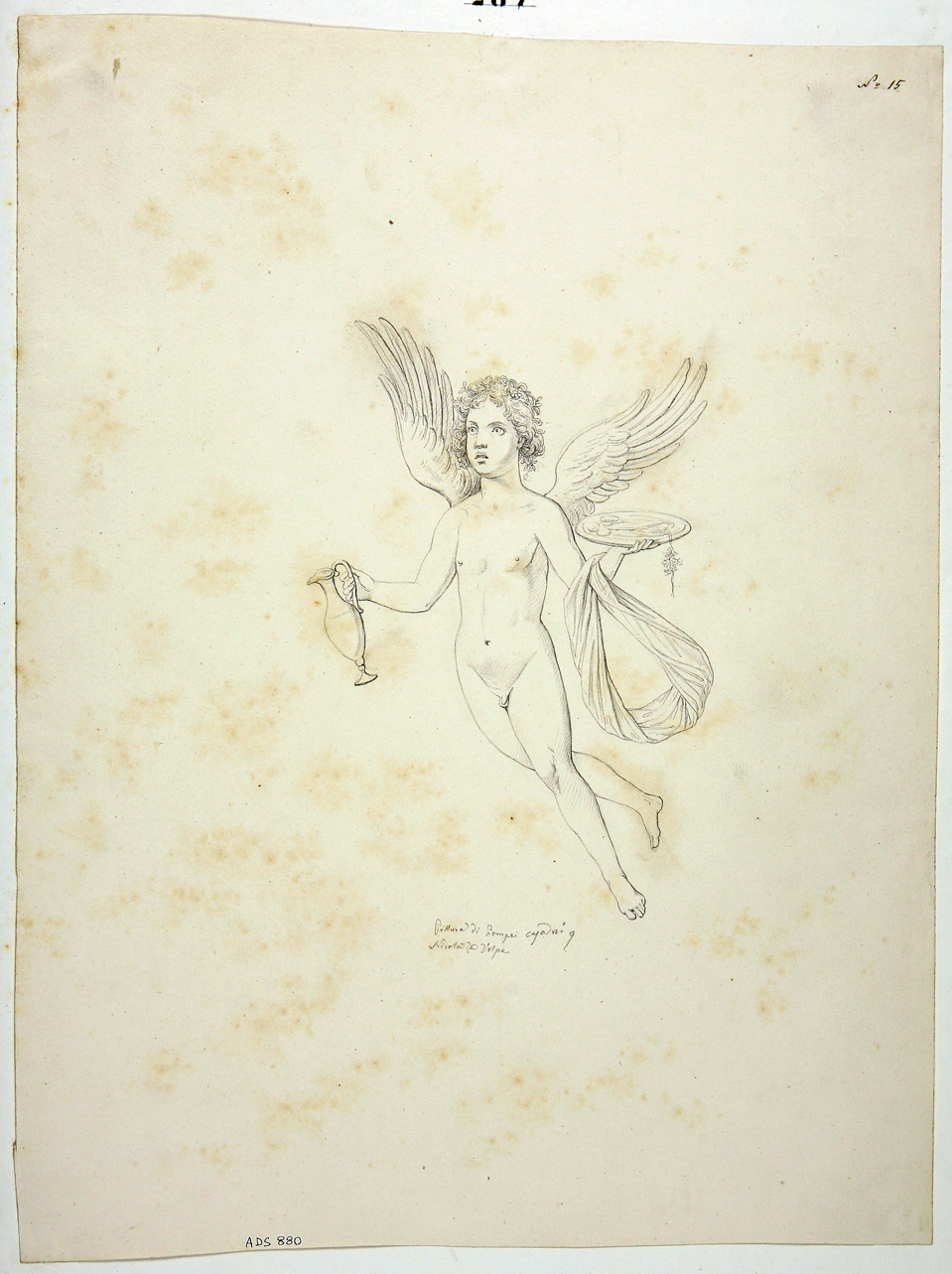 amorino in volo (disegno) di La Volpe Nicola (seconda metà sec. XIX)