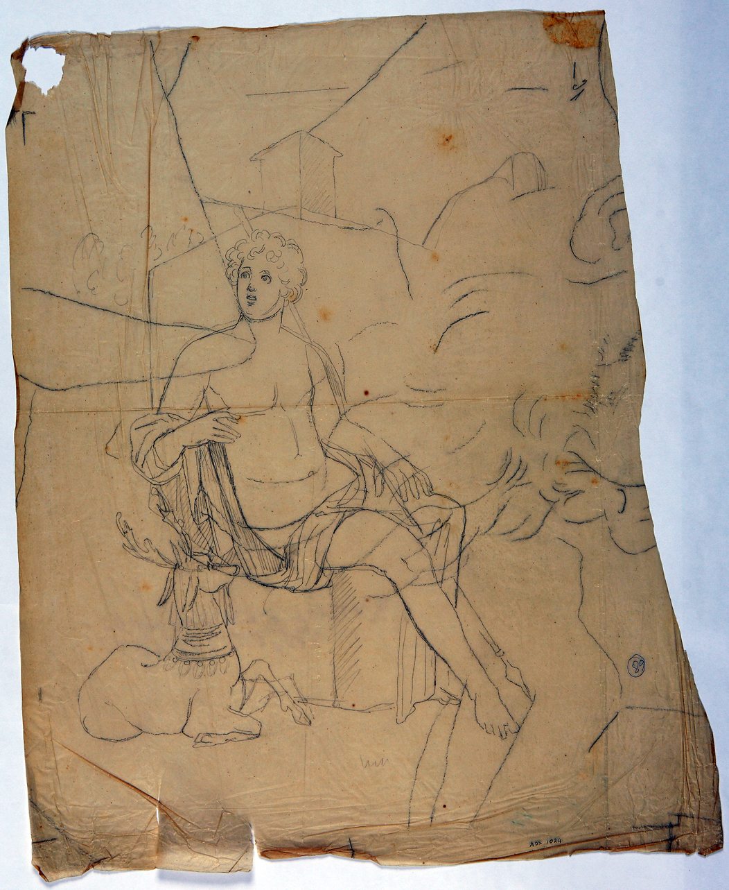 Ciparisso e il cervo (disegno) di La Volpe Nicola (terzo quarto sec. XIX)
