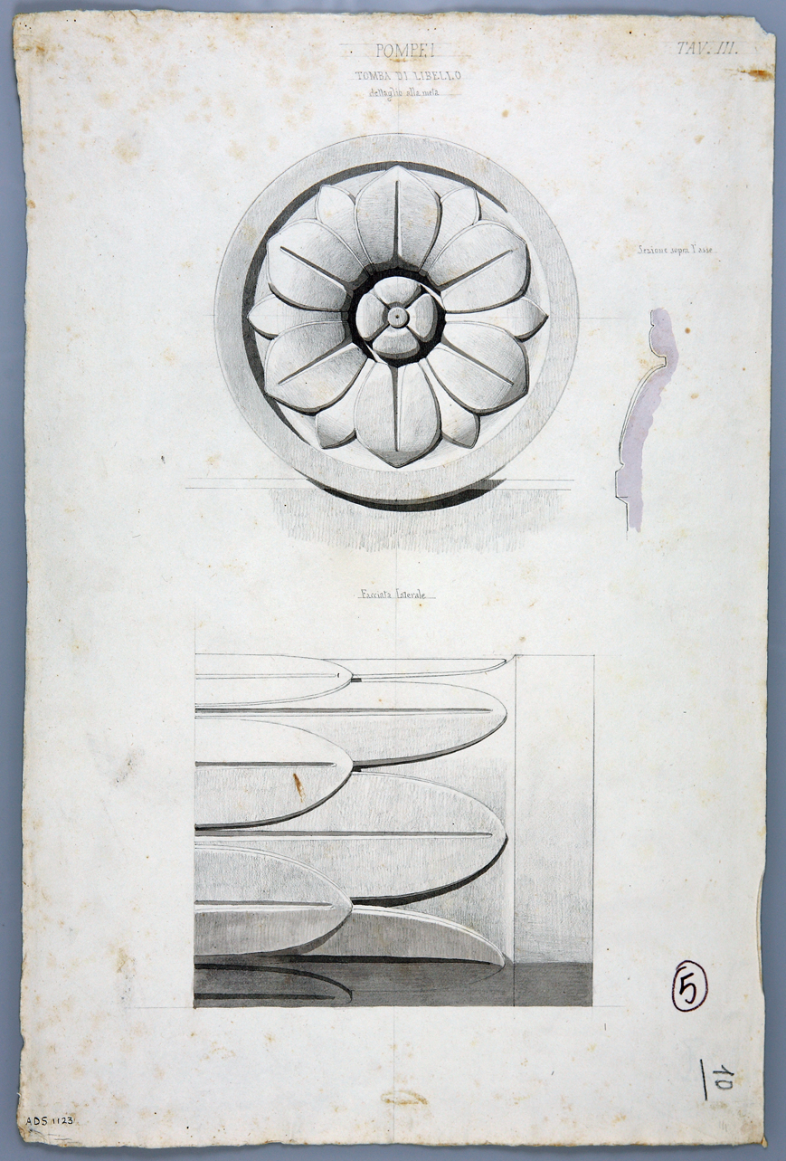 rosone e pulvino (disegno) di Veneri Pasquale Maria (secondo quarto sec. XIX)