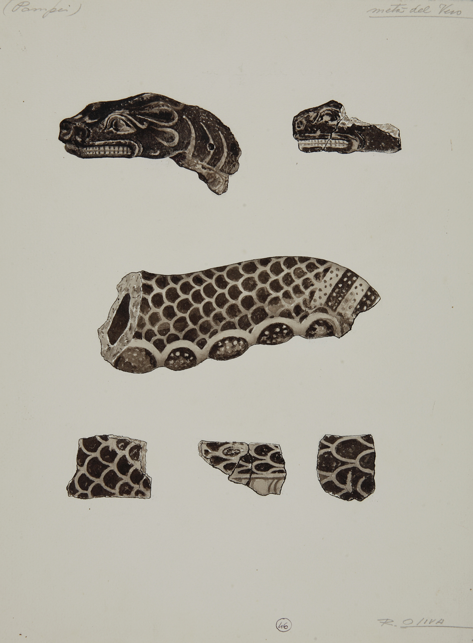 frammenti di elementi decorativi fittili (disegno) di Oliva R (prima metà sec. XX)