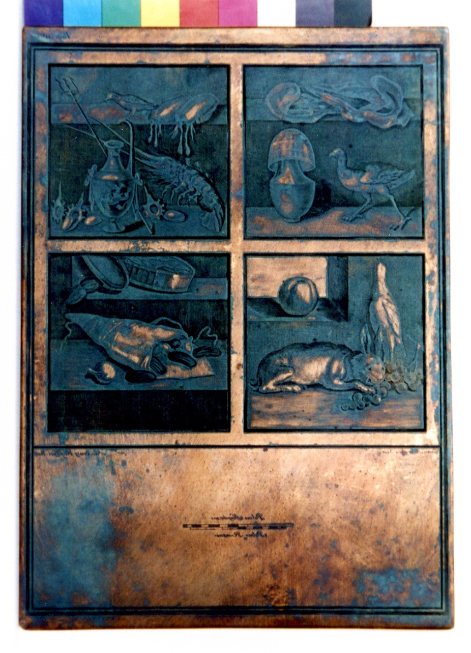 nature morte (matrice) di D'Orazio Nicola, Morghen Giovanni Elia (sec. XVIII)