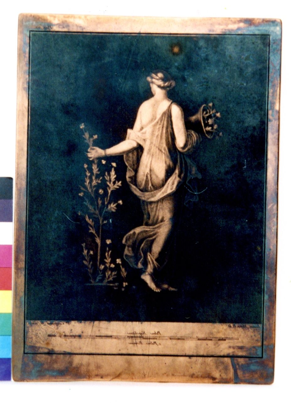 Flora (matrice) di Morghen Giovanni Elia, Campana Pietro (sec. XVIII)