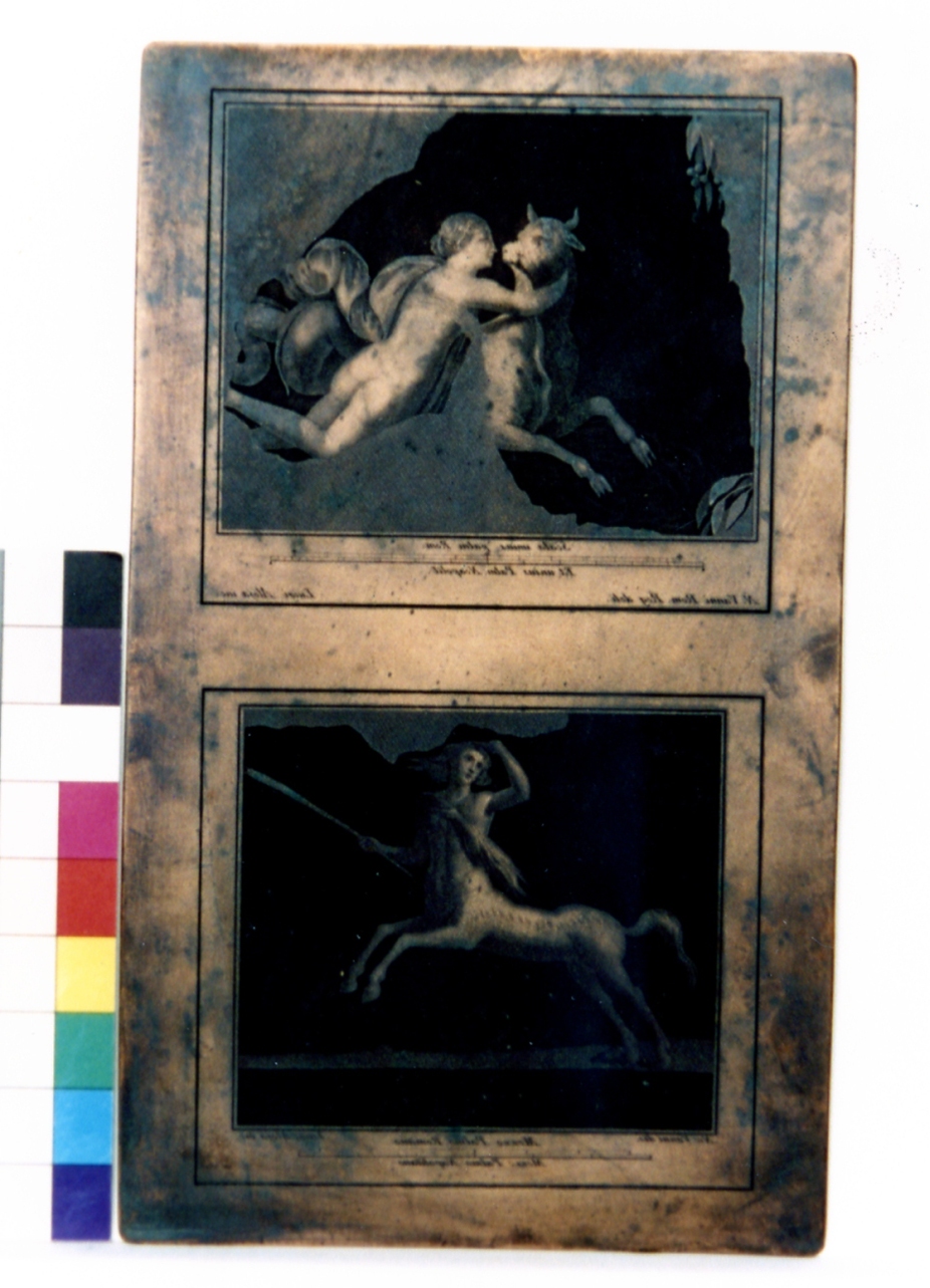 nereide/ centauro (matrice) di Vanni Nicola, Alloja Giuseppe (sec. XVIII)