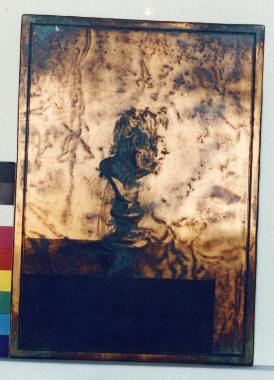 busto senile: profilo (matrice) di Morghen Giovanni Elia, Fiorillo Nicola (sec. XVIII)