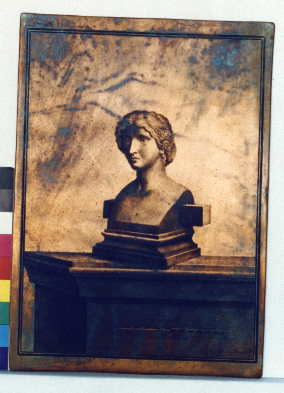 busto di Amazzone (matrice) di Orazi Carlo, Morghen Giovanni Elia (sec. XVIII)