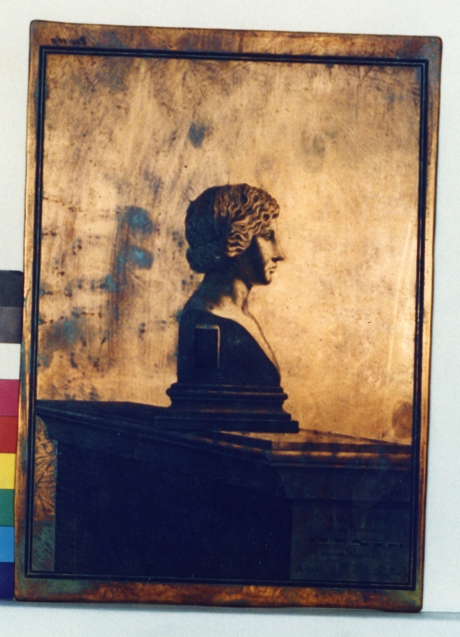 busto di Amazzone: profilo (matrice) di Morghen Giovanni Elia, Orazi Carlo (sec. XVIII)
