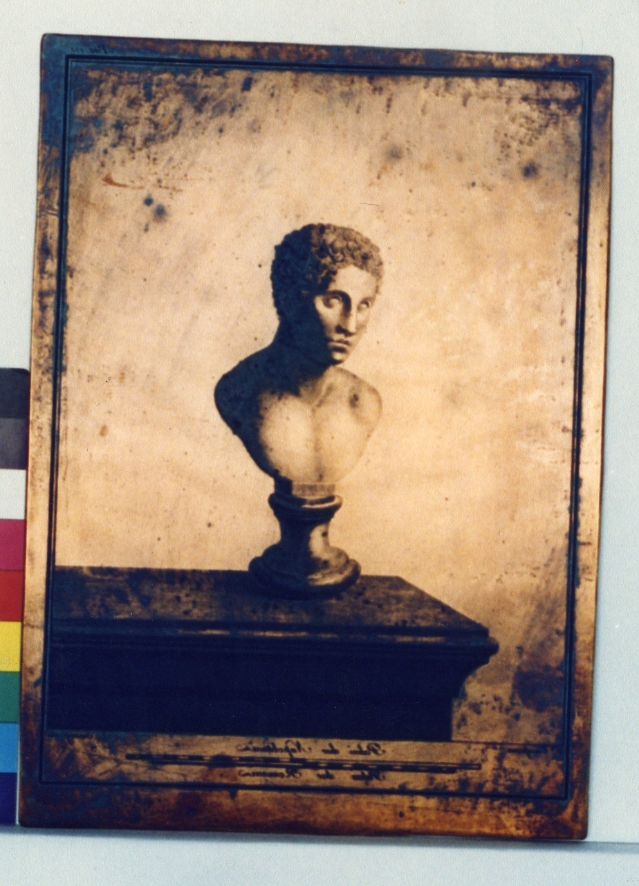busto di efebo (matrice) di Giomignani Francesco, Campana Vincenzo (sec. XVIII)