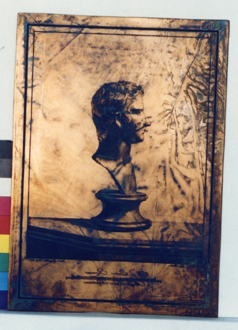 busto virile: profilo (matrice) di Campana Ferdinando, Vanni Nicola (sec. XVIII)