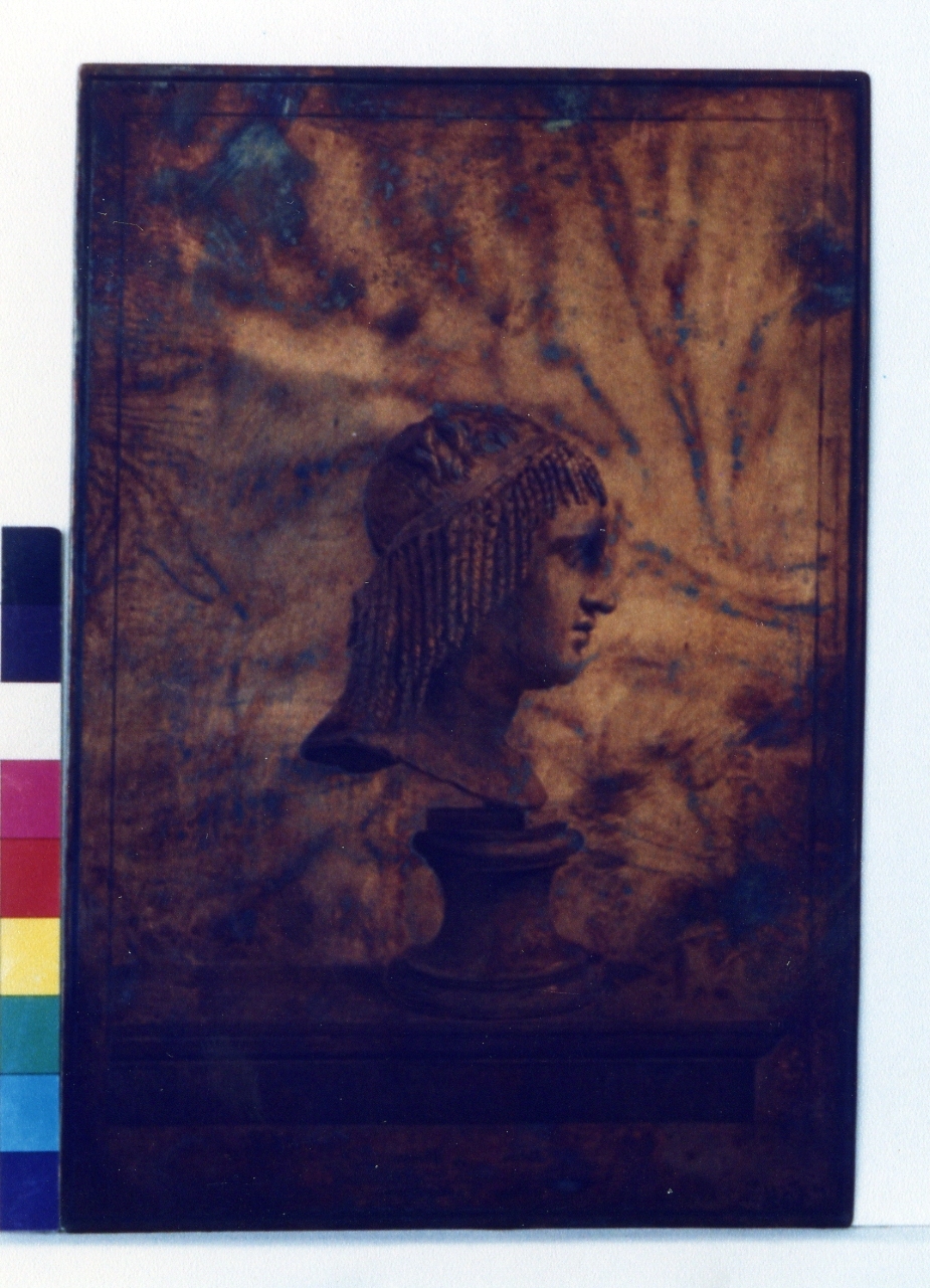 busto dell'atleta Thespis: profilo (matrice) di Casanova Giovanni Battista, Pozzi Rocco (sec. XVIII)