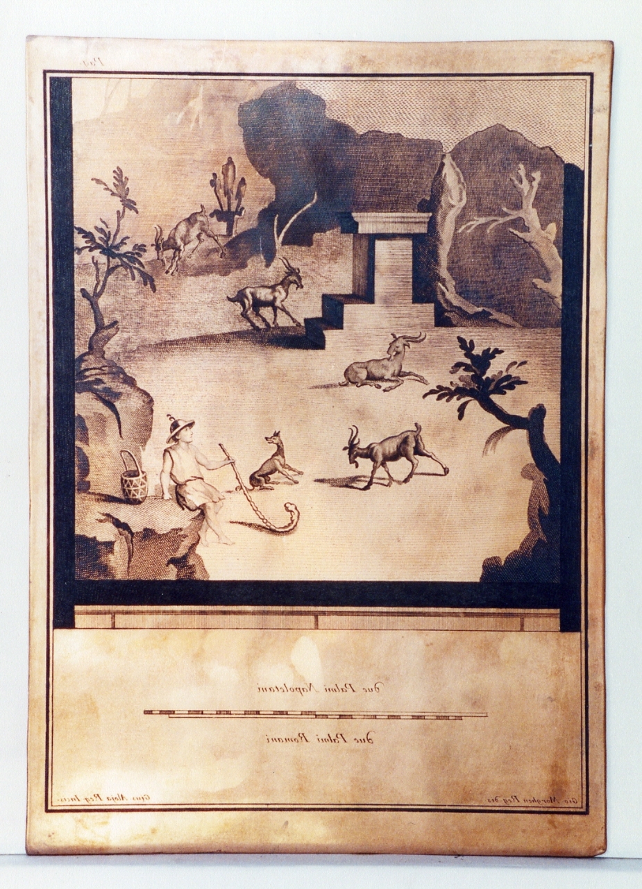 sacello campestre con pastore capre e cane (matrice) di Alloja Giuseppe, Morghen Giovanni Elia (sec. XVIII)