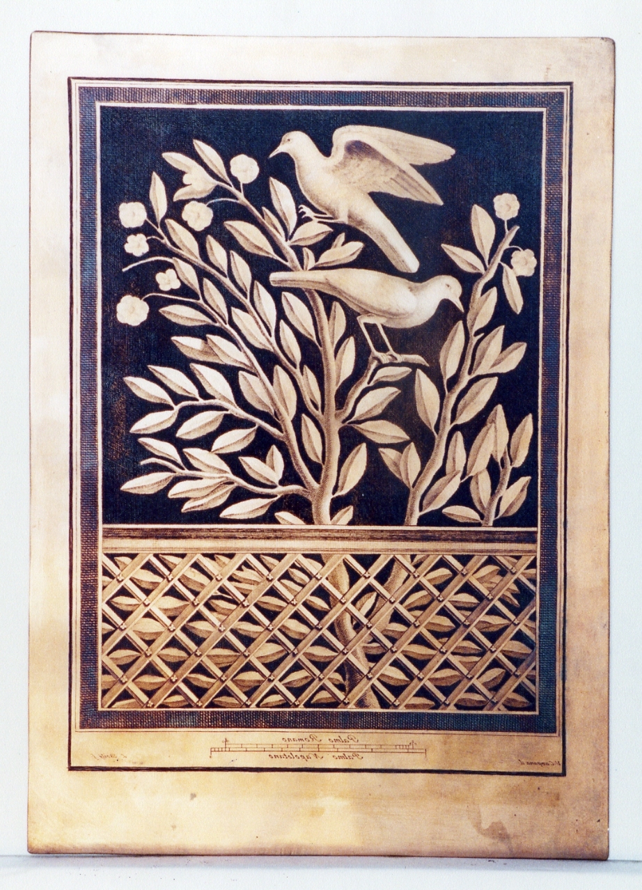 rami fioriti con uccelli e balaustra (matrice) di Boily Ludovico, Campana Vincenzo (sec. XVIII)