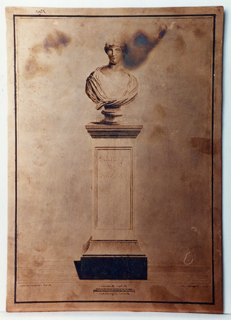 busto muliebre su piedistallo (matrice) di Campana Ferdinando, Campana Vincenzo (sec. XVIII)