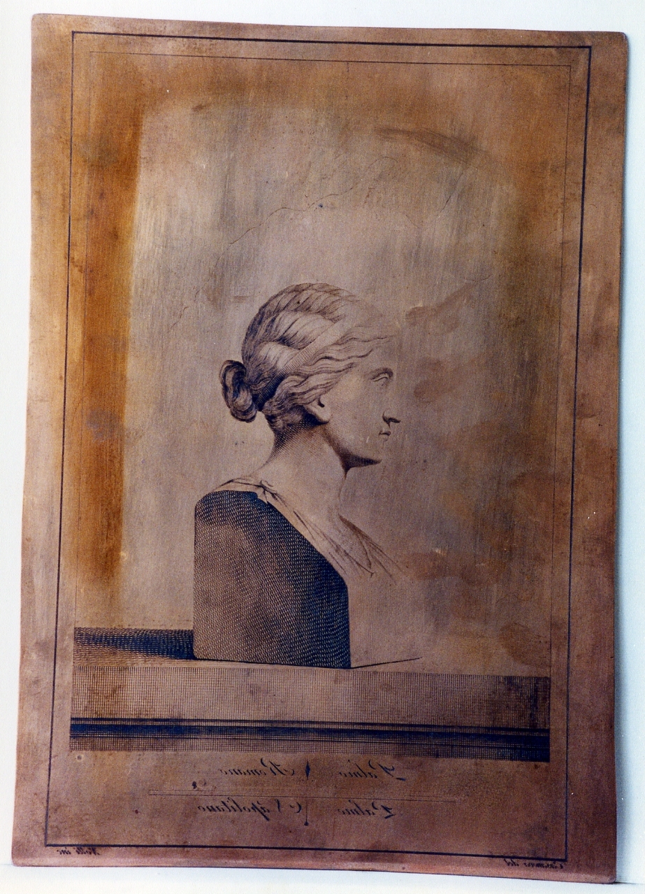 busto muliebre: profilo (matrice) di Nolli Carlo, Casanova Giovanni Battista (sec. XVIII)