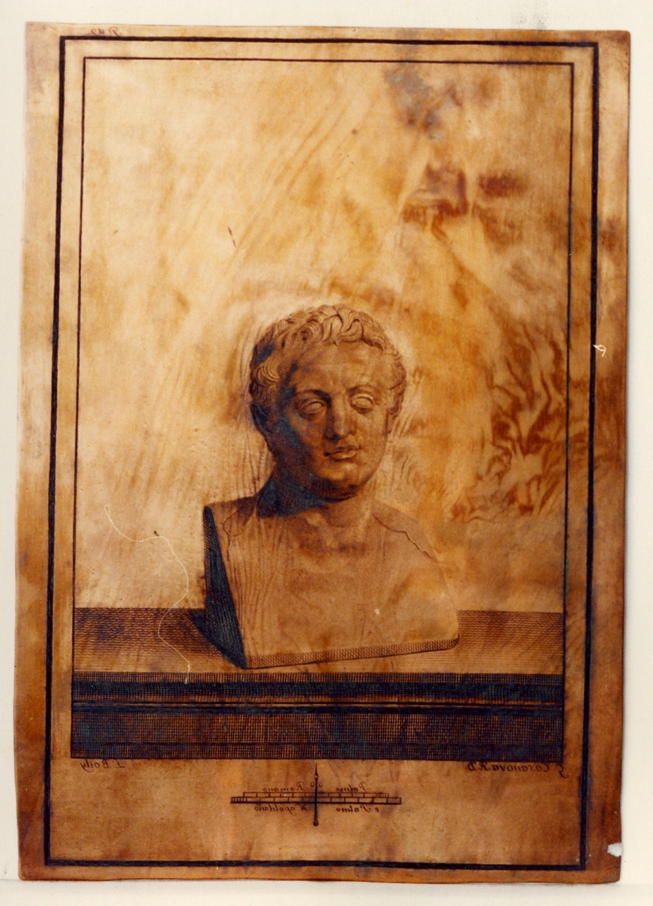 erma-ritratto di Tolomeo II o III Evergete (matrice) di Boily Ludovico, Casanova Giovanni Battista (sec. XVIII)