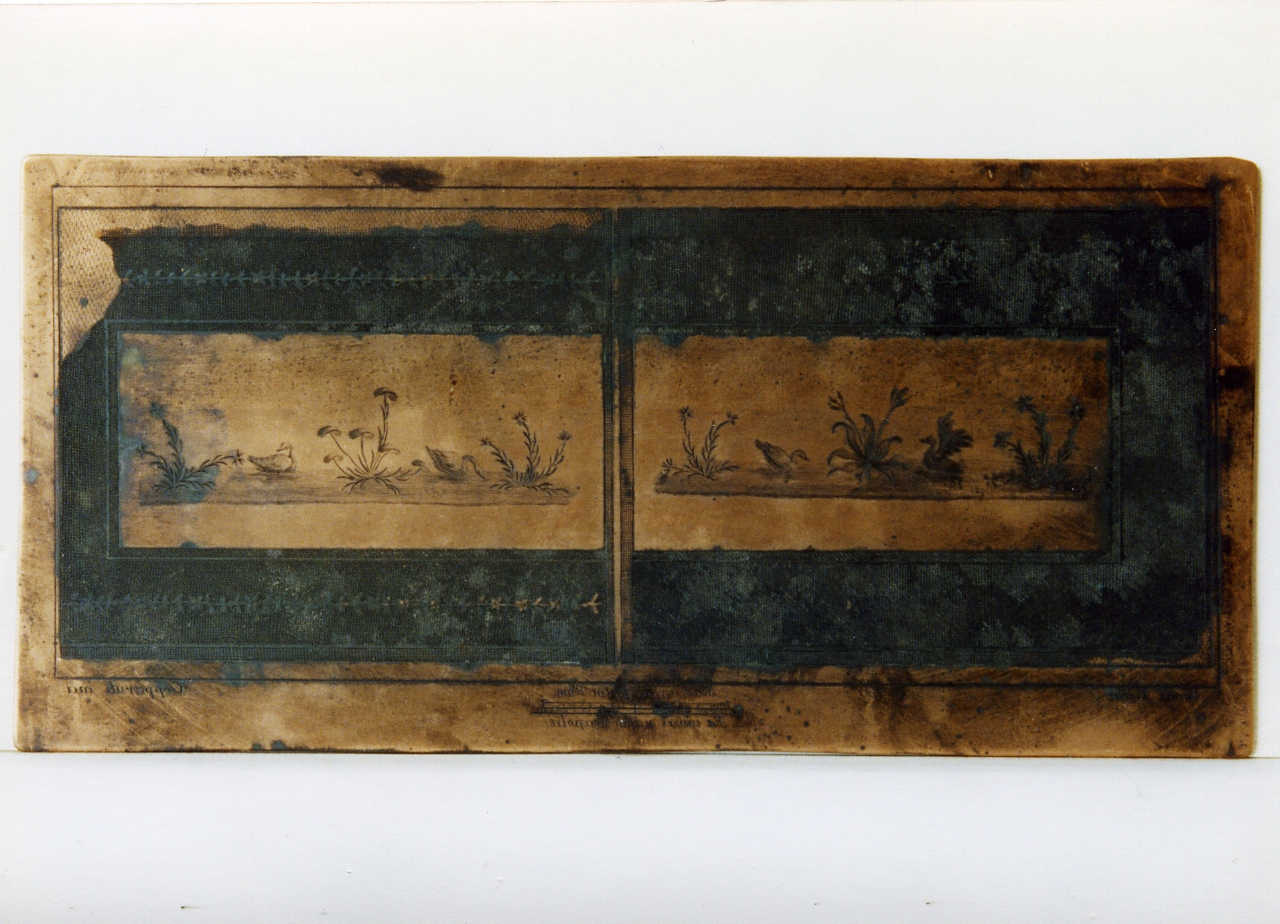 due pannelli con elementi floreali ed anatre (matrice) di Cepparoli Francesco, Vanni Nicola (sec. XVIII)
